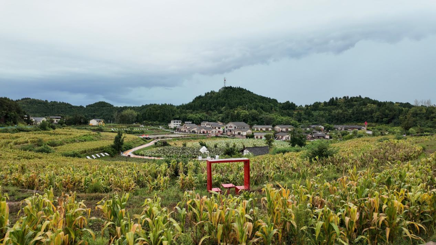 周家庄乡集体菜园田园生活新选择